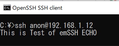 emSSH Client Cmdline