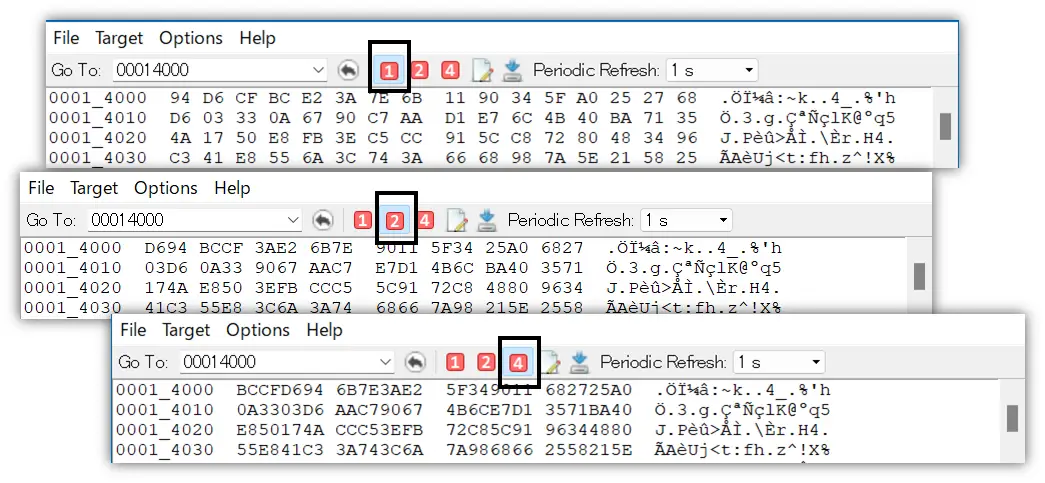 Access Size Setup